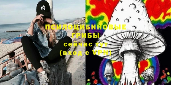 дживик Верея