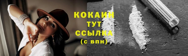 дживик Верея