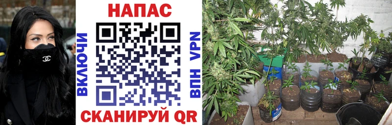 Каннабис тримм Николаевск-на-Амуре